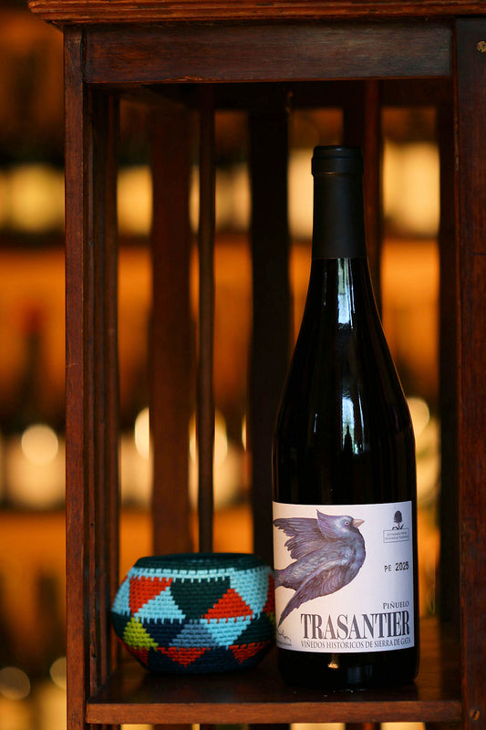 RECUERO MARTINEZ TRASANTIER Piñuelo Tinto 2025