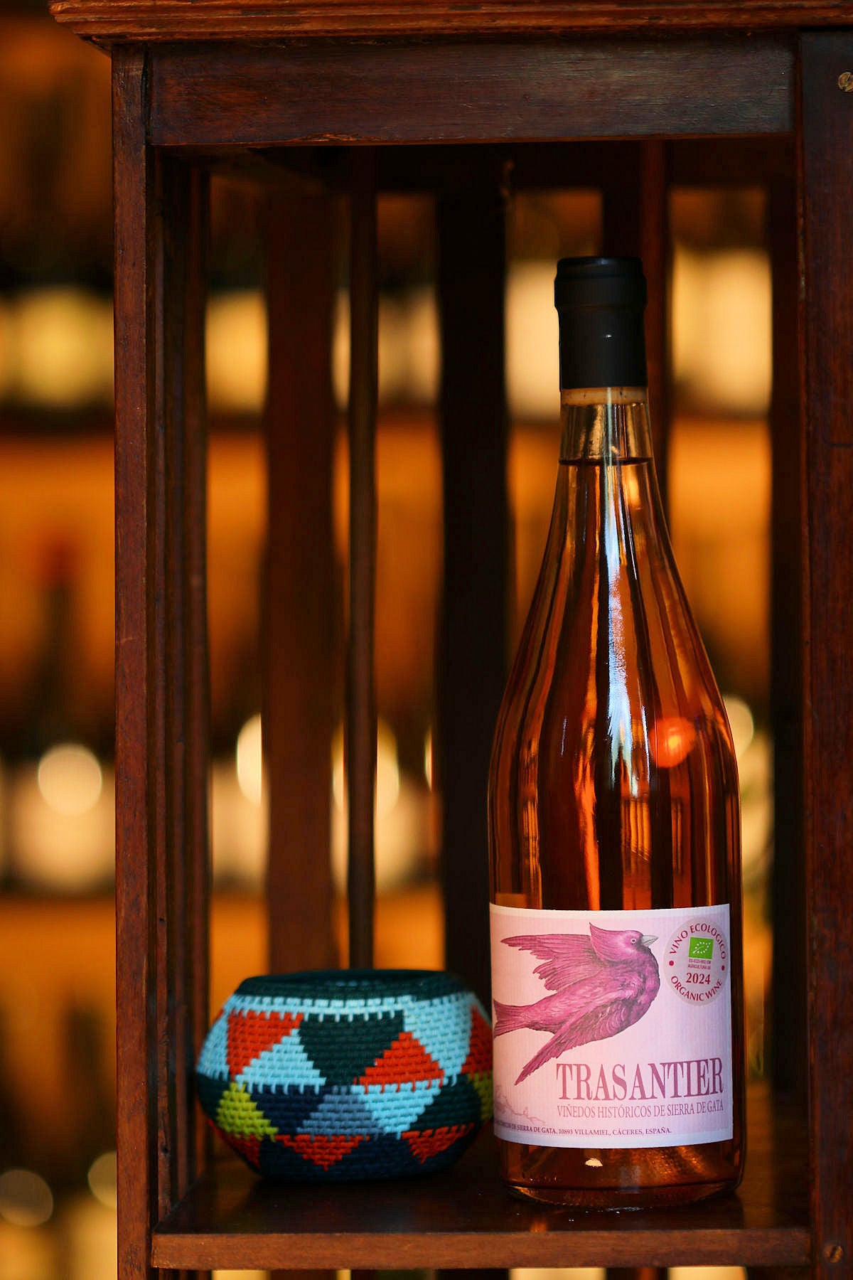RECUERO MARTINEZ TRASANTIER Rosado 2024
