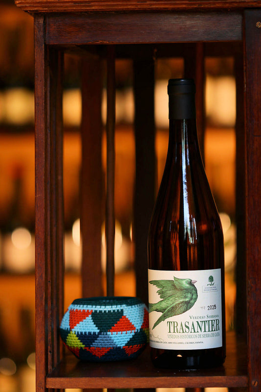 RECUERO MARTINEZ TRASANTIER Verdejo 2025